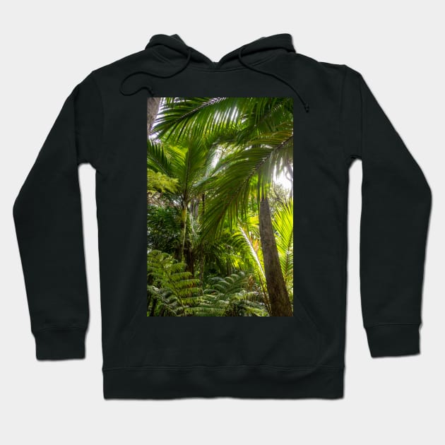 Nikau Palms. Hoodie by sma1050